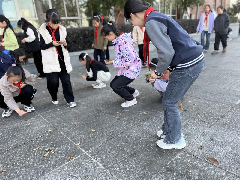 IMG_7231.JPG IMG_7231.JPG