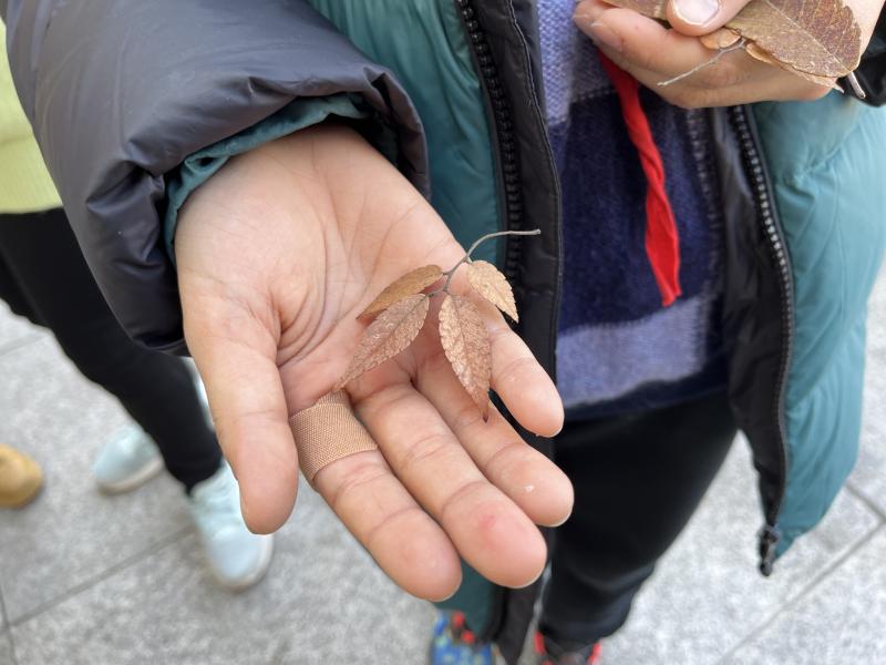 IMG_7235.JPG IMG_7235.JPG