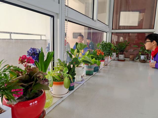 QQ图片20240313151016.jpg QQ图片20240313151016.jpg