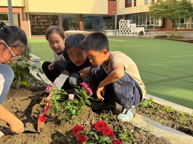 种植2.jpg 种植2.jpg