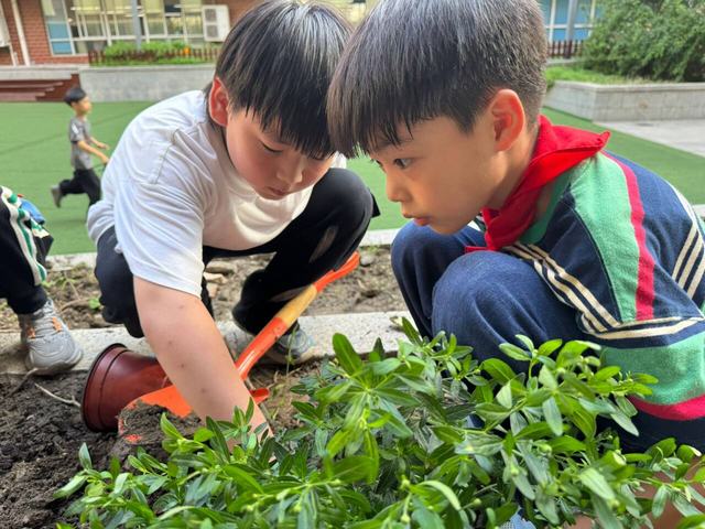 种植.jpg 种植.jpg