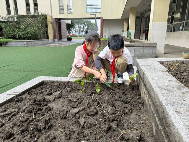 种植1.jpg 种植1.jpg