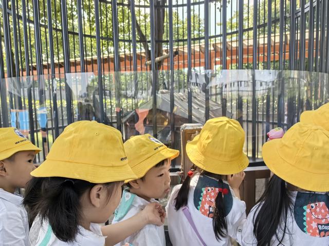 IMG_20250606_083907.jpg IMG_20250606_083907.jpg